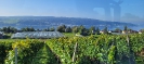 Bodensee_10