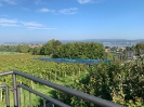 Bodensee_1