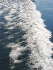 Bodensee_3