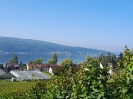 Bodensee_5