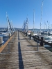 Bodensee_6