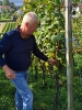 Bodensee_7