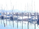 Bodensee_7