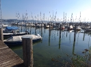 Bodensee_8