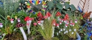 Bodensee_9