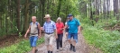Deisslinger Wald_5