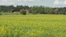 Wandertag 2020_1