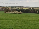 Pfarrwaldhütte_1