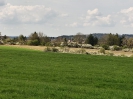 Pfarrwaldhütte_3